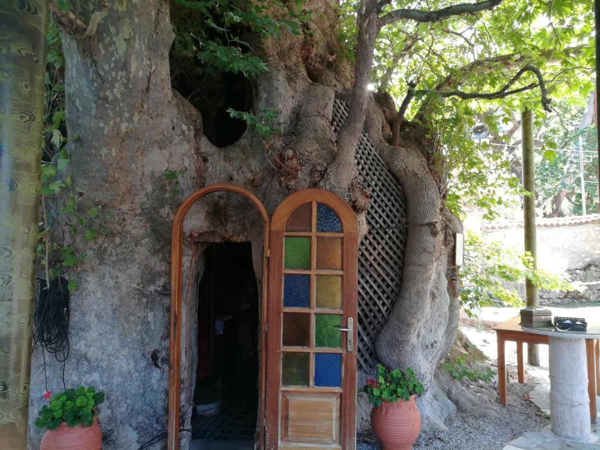 Plataniotissa Mansion Villa กาลาวริตา ภายนอก รูปภาพ