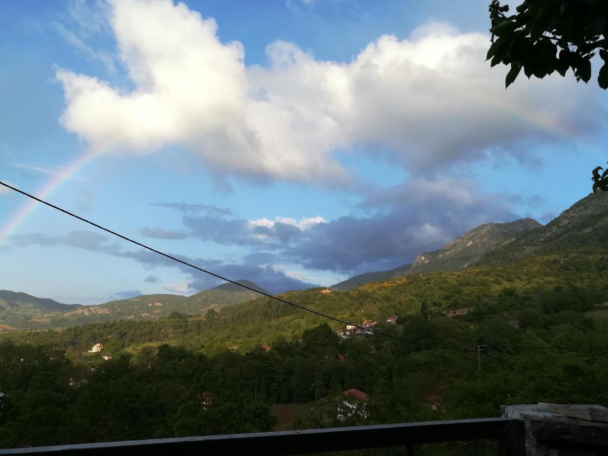 Plataniotissa Mansion Villa กาลาวริตา ภายนอก รูปภาพ